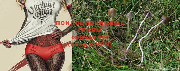 экстази Ладушкин